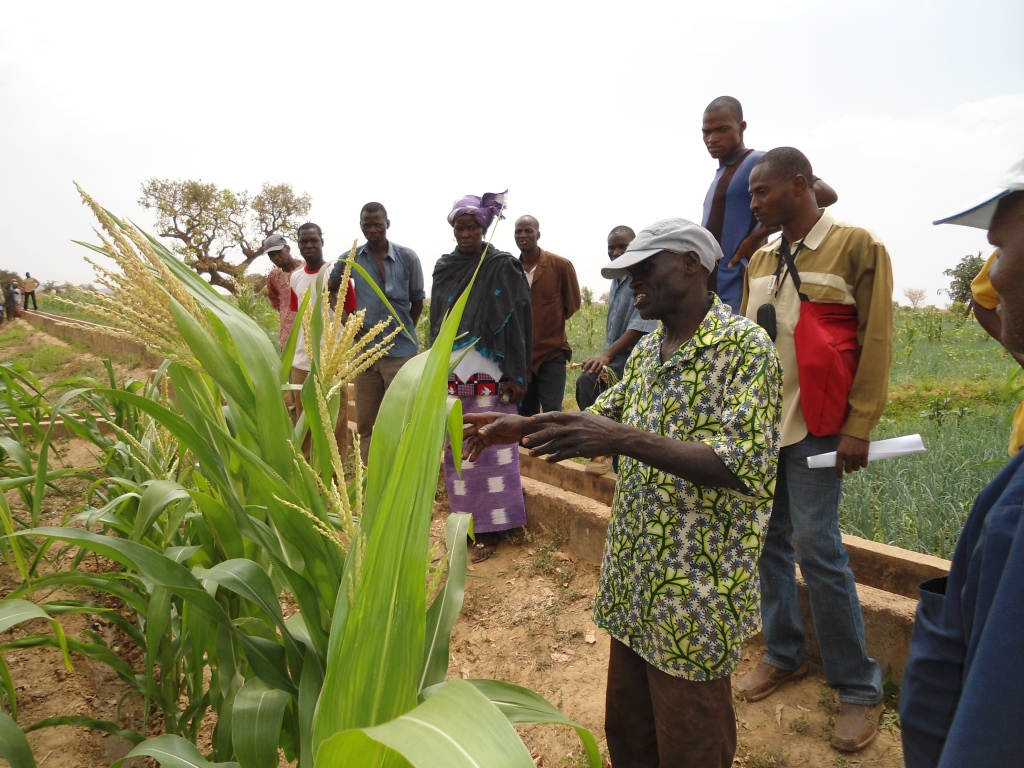 APEFE Burkina Faso - visite des champs de producteurs démonstrateurs des nouvelles techniques 