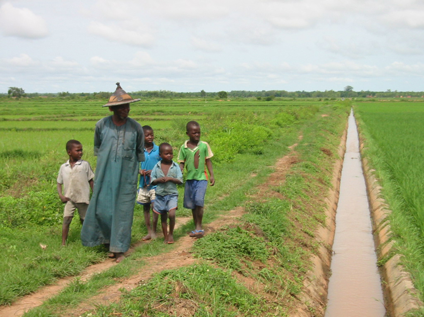 APEFE - Gestion de l'eau d'Irrigation - perimetre irrigué - cultures de riz - Vallee du Kou Burkina faso 