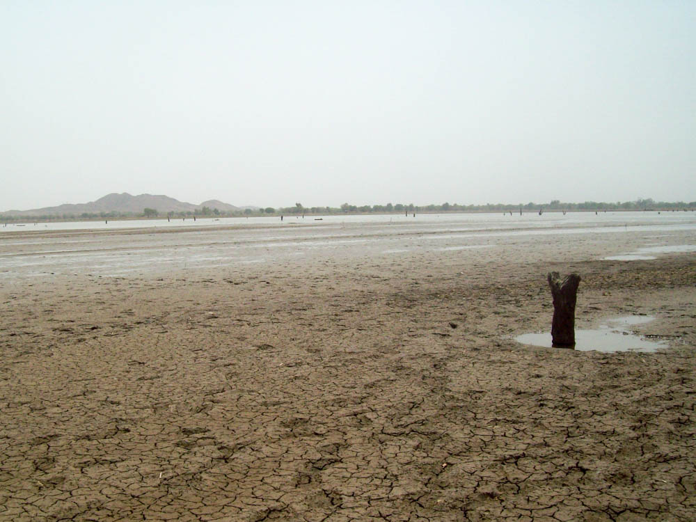 burkina PADI WBI APEFE DesertificationDAY